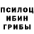 Псилоцибиновые грибы Cubensis O Misterioso