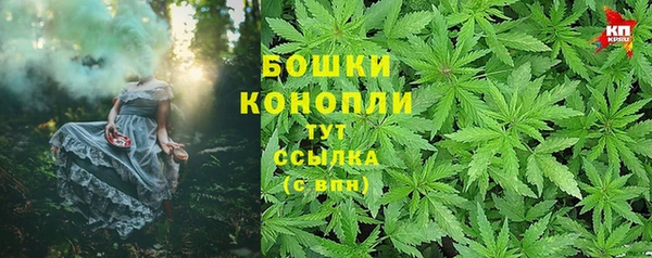 индика Абаза