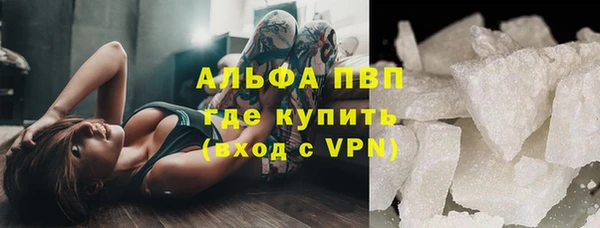 индика Абаза