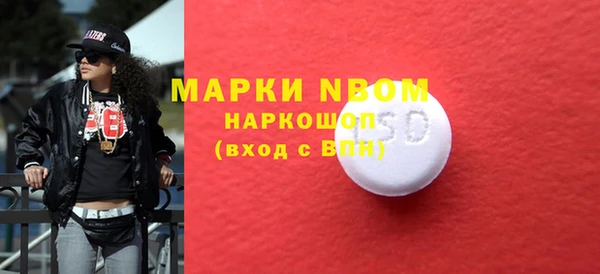 индика Абаза