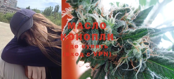 индика Абаза