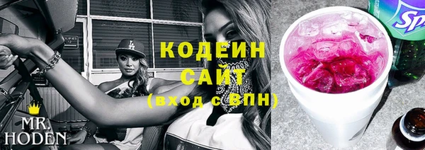 индика Абаза