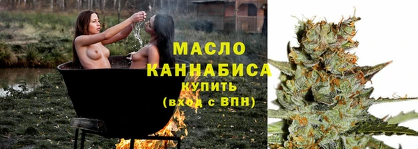 индика Абаза
