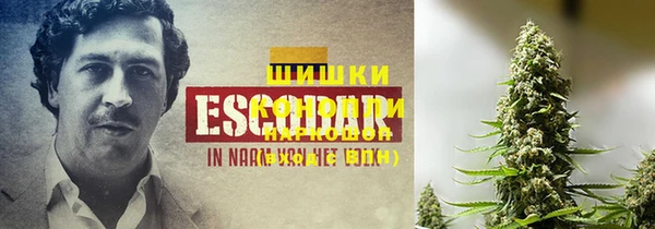 прущие грибы Абдулино