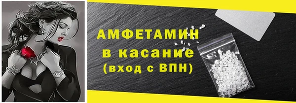 индика Абаза
