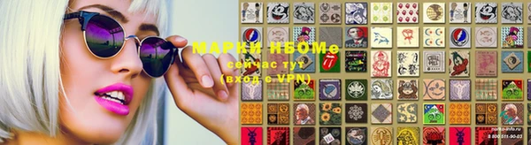 прущие грибы Абдулино