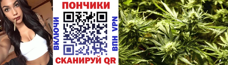 Шишки марихуана конопля  Яблоновский 